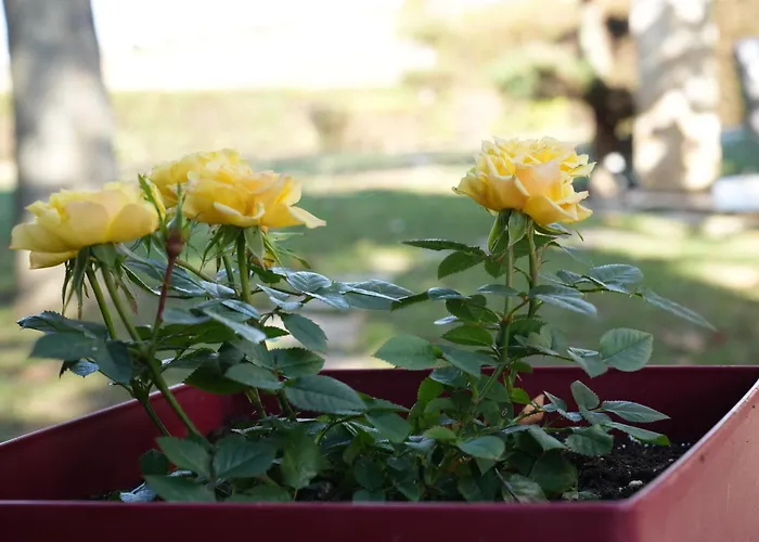 2k Eco Villa Plagiárion